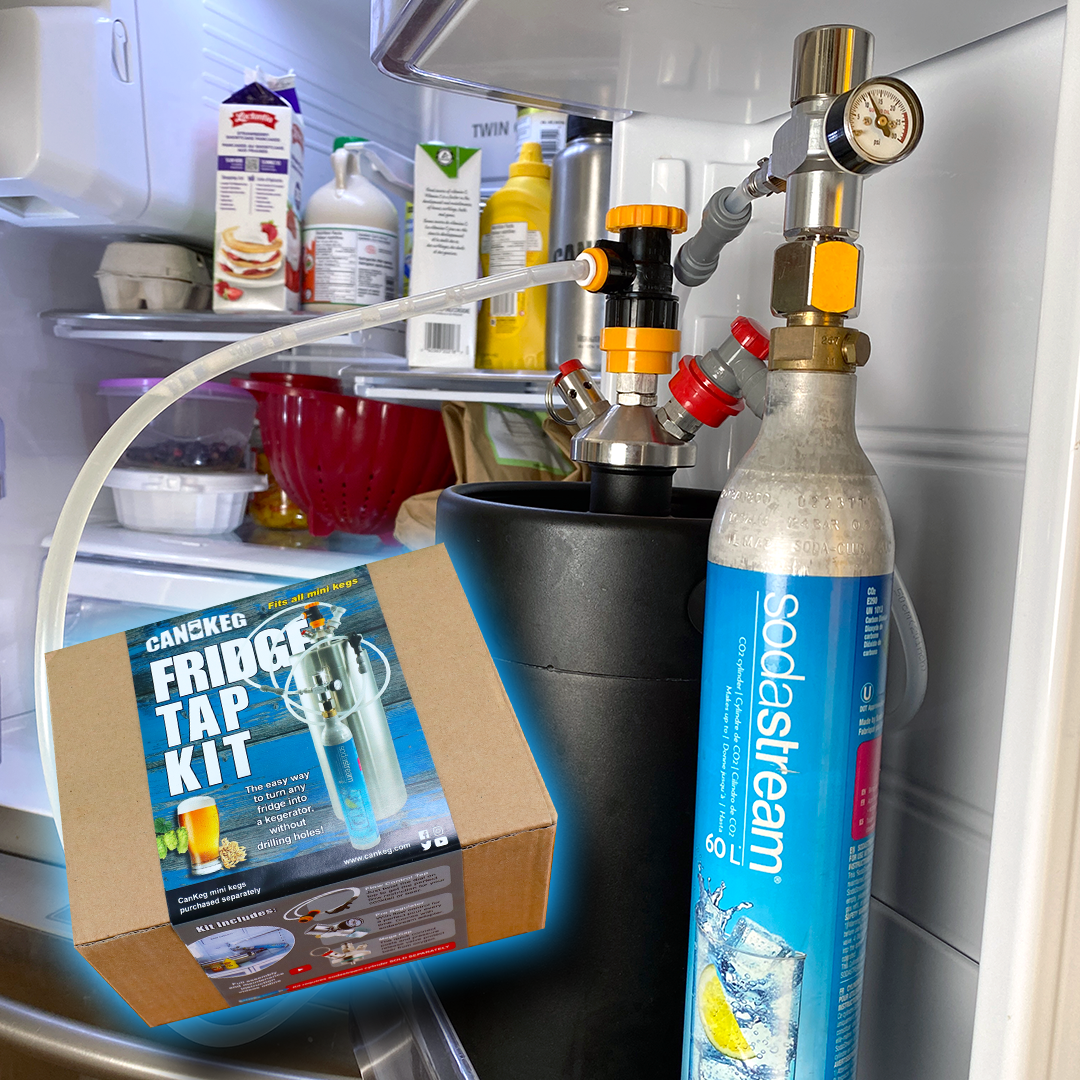 Fridge beer 2024 tap kit