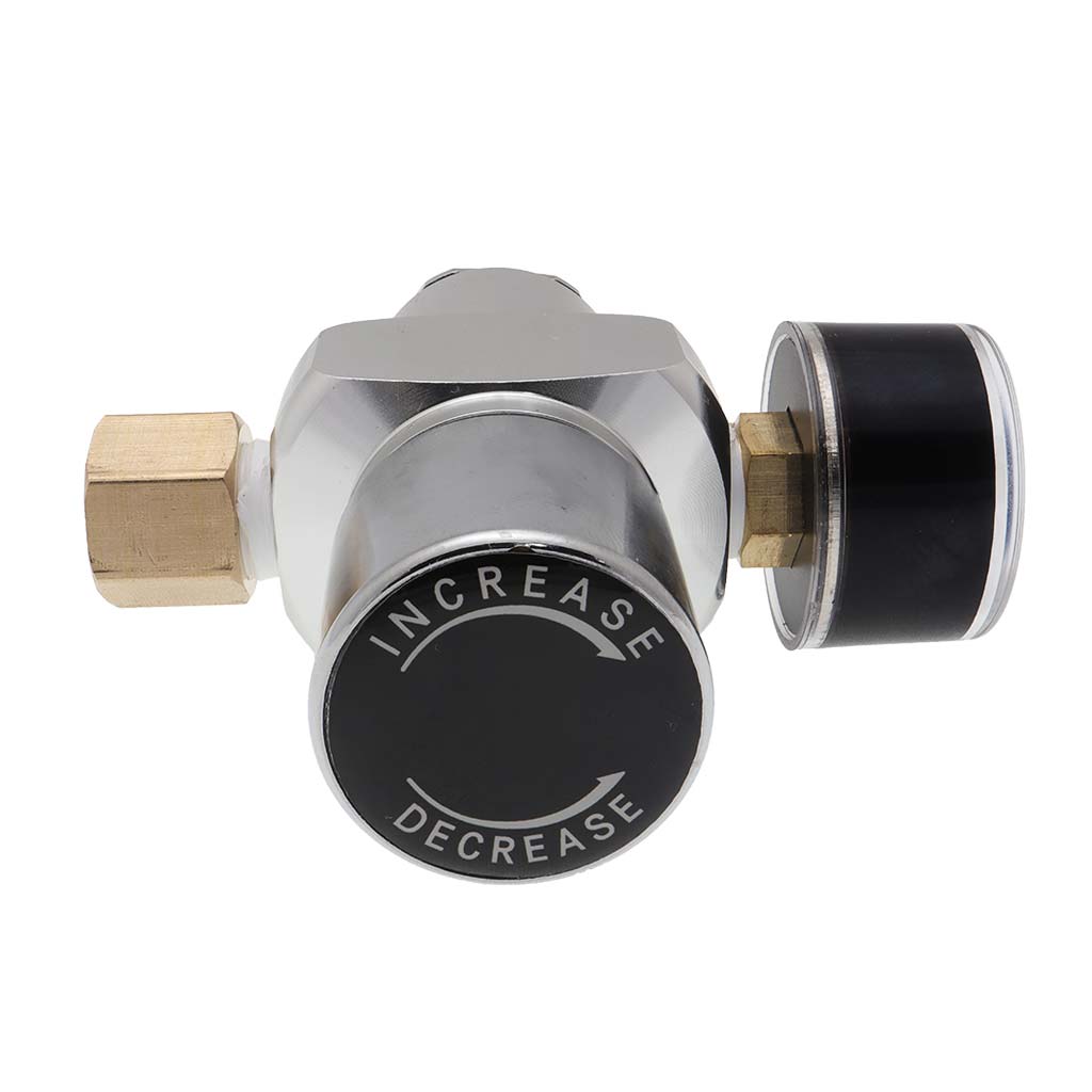 Pro C02 Mini Regulator
